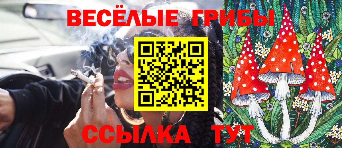 магазин продажи   Вход с VPN  Майский  Псилоцибиновые грибы мицелий 